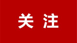通报：龙港多名干部被问责！